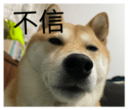 885475403