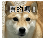 885475404