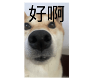 885475405