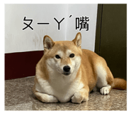 885475406