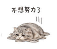 885475477