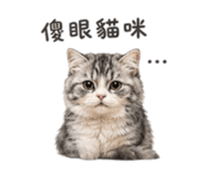 885475478