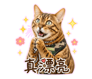885476167