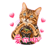 885476168