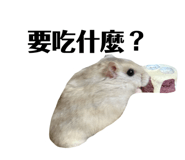 885476350