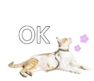 885476589