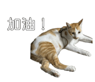 885476590