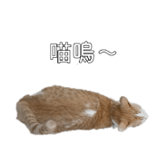 885476595