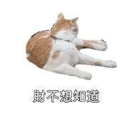 885476598