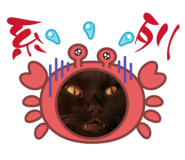 885477308