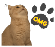 885477579