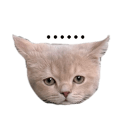 885477588