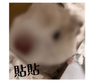 885478400