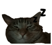 885478461
