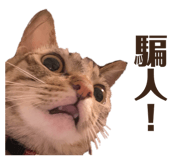 885478466