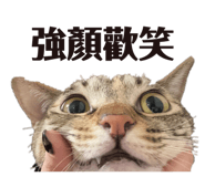 885478469