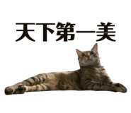 885478474