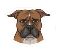 885479802
