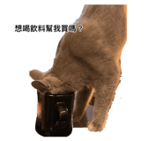 885482621