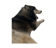 885482710