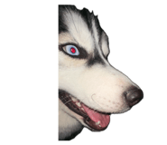 885482716