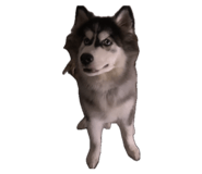 885482724