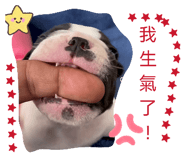 885484342