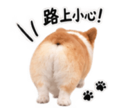 885485015