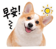 885485021