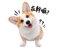 885485037