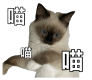 885485058
