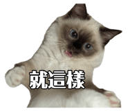 885485065