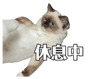885485066