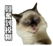 885485068
