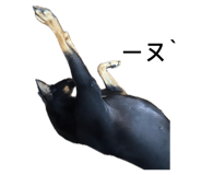 885485906