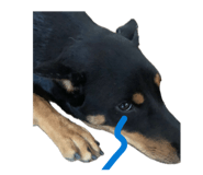 885485927