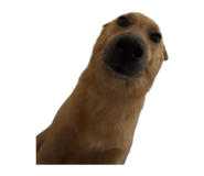 885489143