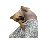 885489157