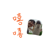 885490916