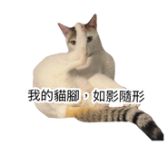 885492761