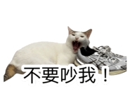 885492764