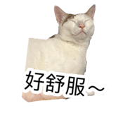 885492766