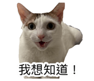 885492768