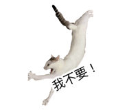 885492769