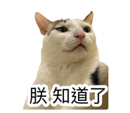 885492771