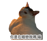 885492772