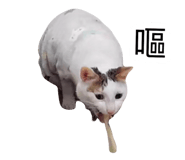 885492773
