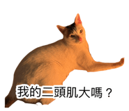 885492775