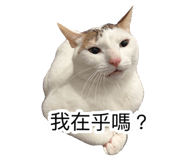 885492777
