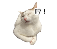 885492778